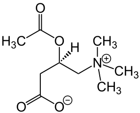 verkoop van injecteerbare L-carnitine