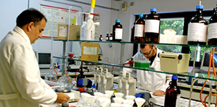 Nederlandanse apotheek Genova Lab