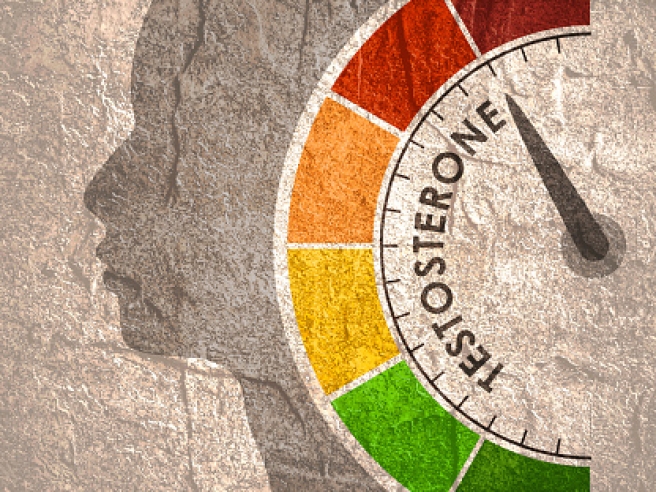 Steroïden en natuurlijk testosteron